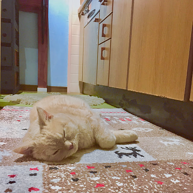 naokoさんの実例写真