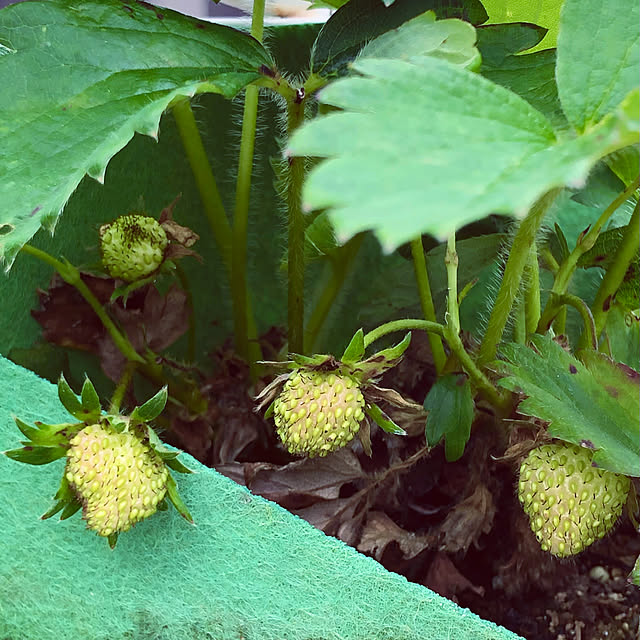 tomoさんの部屋