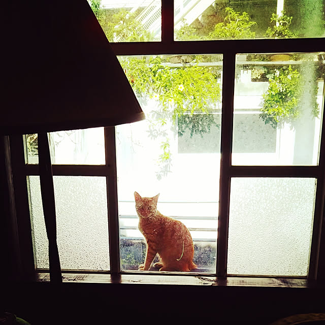 kayomiさんの実例写真