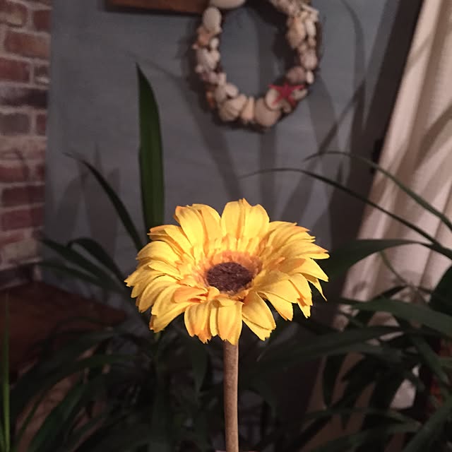 bowbowcoさんの実例写真