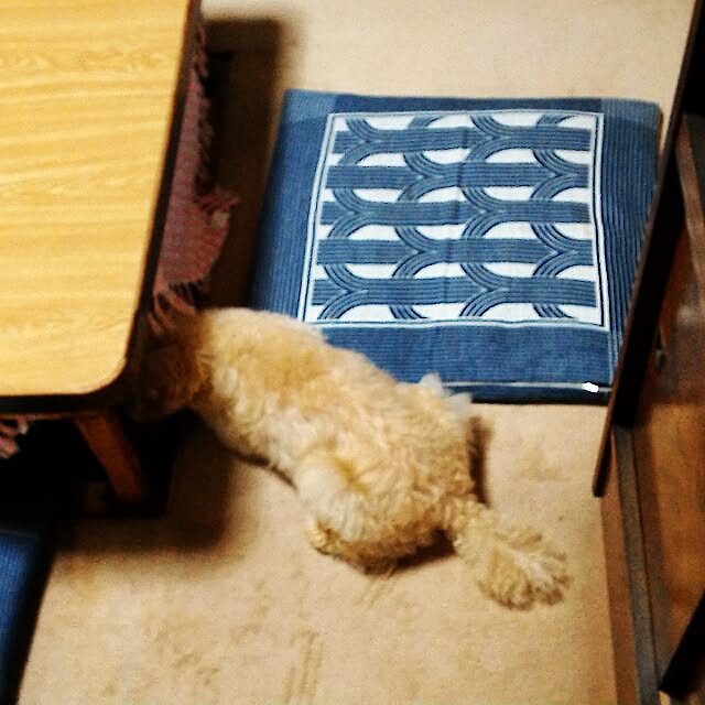 BAKEさんの実例写真
