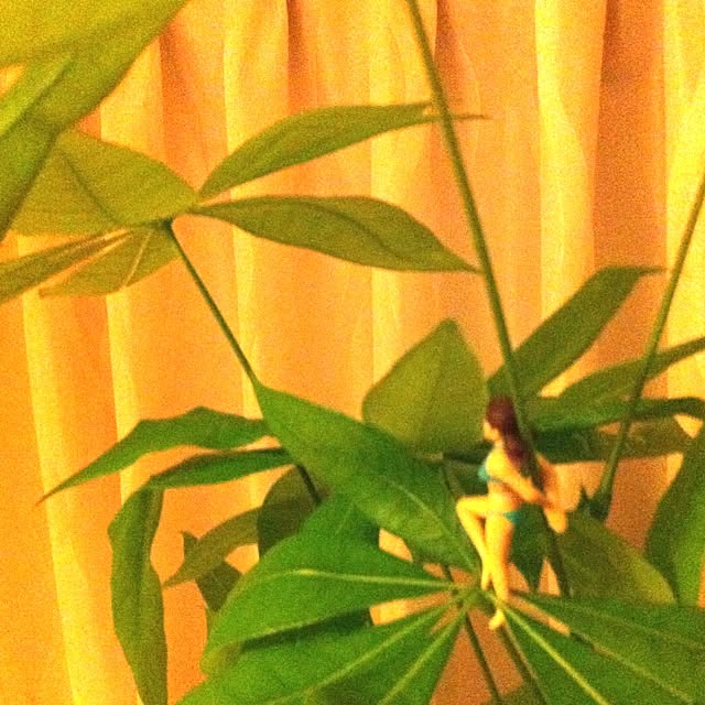 akaneさんの実例写真