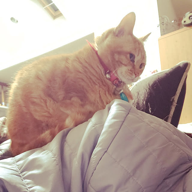 J.BOYさんの実例写真
