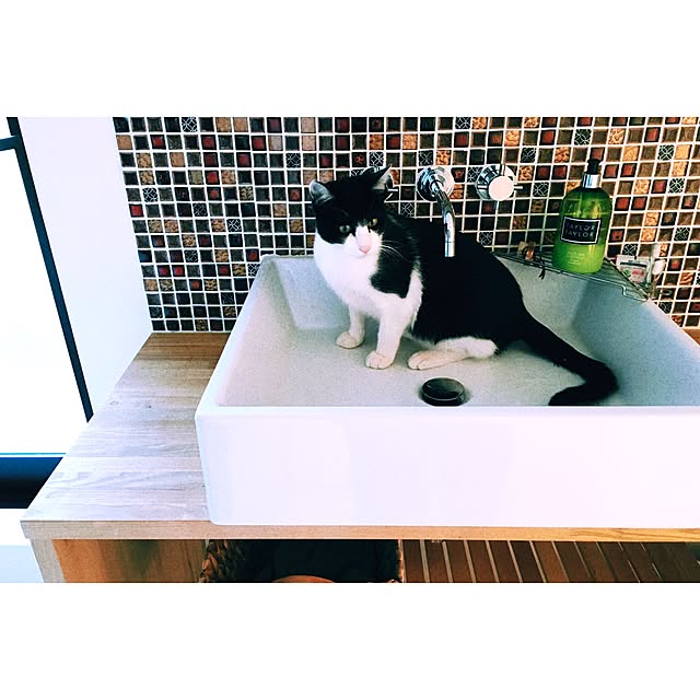 mitsuoomさんの実例写真