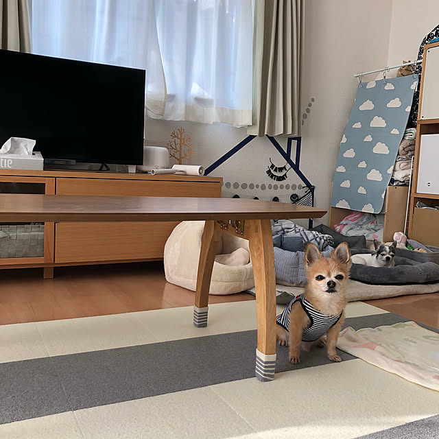 Emiさんの実例写真