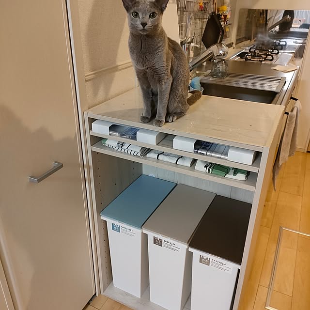 nekota802さんの実例写真