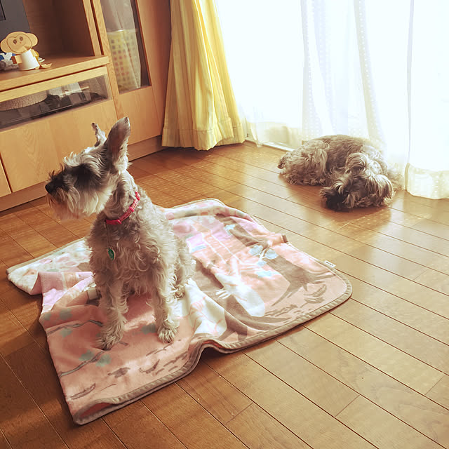 me_sweetさんの実例写真