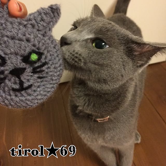 tirol69さんの実例写真