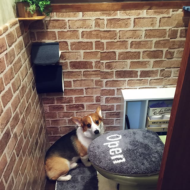 gogozettさんの実例写真