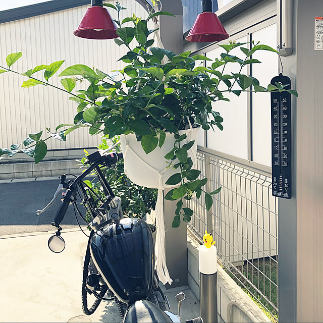 ayanyanさんの実例写真