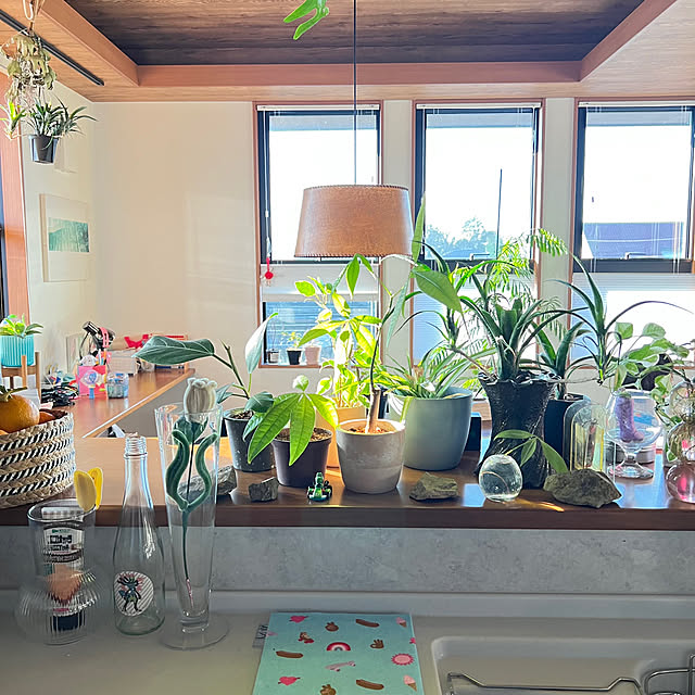 pokowheeさんの実例写真