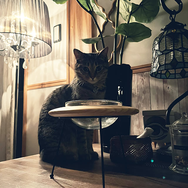 Mさんの実例写真