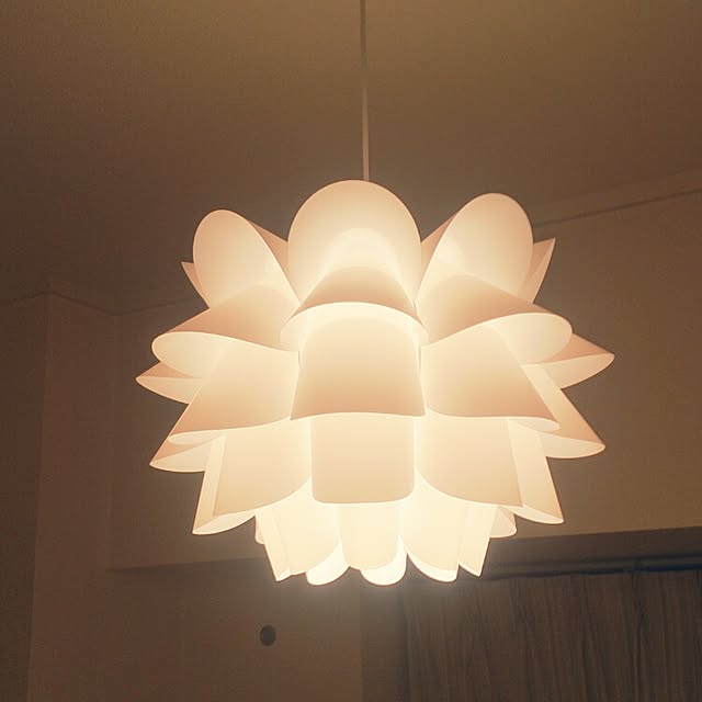 壁/天井/IKEA/照明のインテリア実例 - 2015-08-30 22:43:23