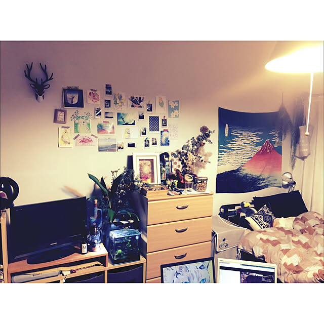 parrotさんの部屋