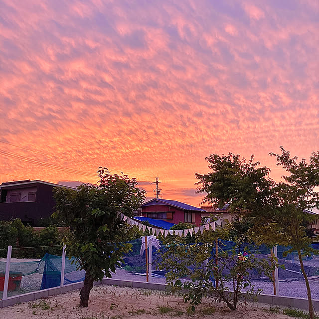 Andreaさんの実例写真