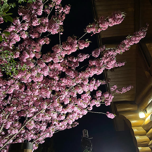 haruさんの部屋