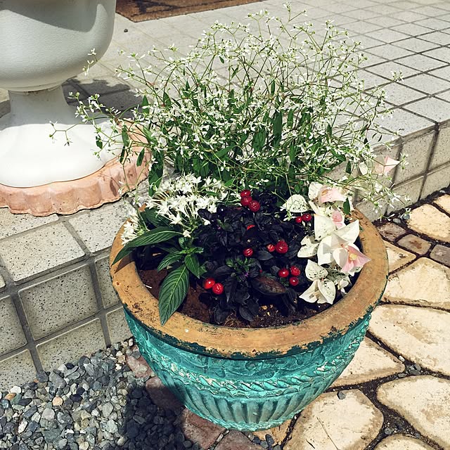 sakuraさんの実例写真
