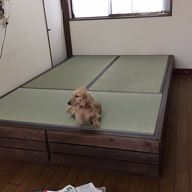 Junkoさんの実例写真