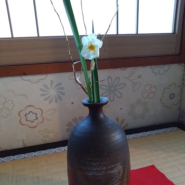 棚/ガーデニング/チューリップ/ベランダ/花のある暮らし...などのインテリア実例 - 2025-04-15 06:03:54