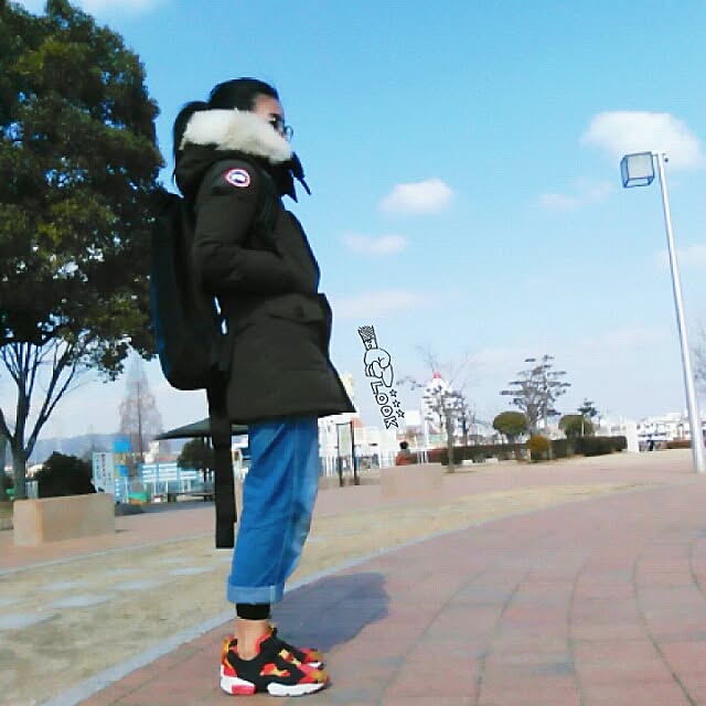 実例写真