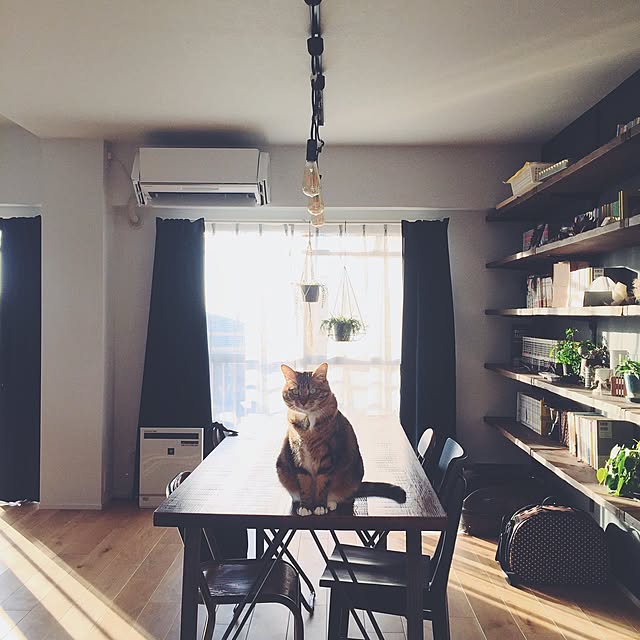 nekosanさんの実例写真