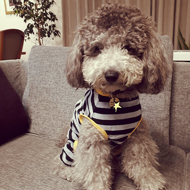 matthewさんの実例写真