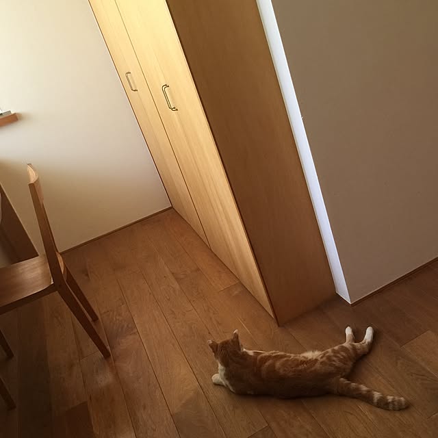 gguuiiさんの実例写真