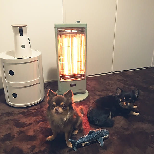 Musashiさんの実例写真