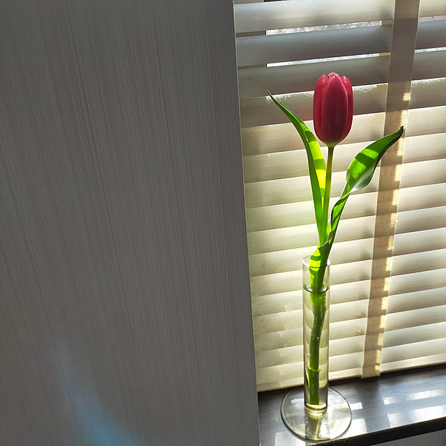 medaarataさんの実例写真