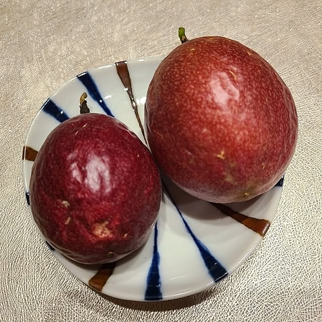 Rubiconさんの部屋