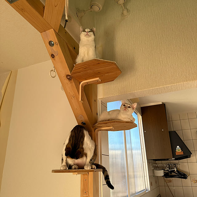 yurari.bonnさんの実例写真