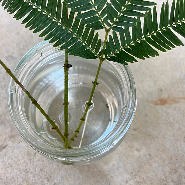 pokowheeさんの部屋