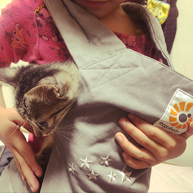 エルゴ/かわいい/子猫が来ました/ままごと大好き/ままごと...などのインテリア実例 - 2020-09-17 20:56:47
