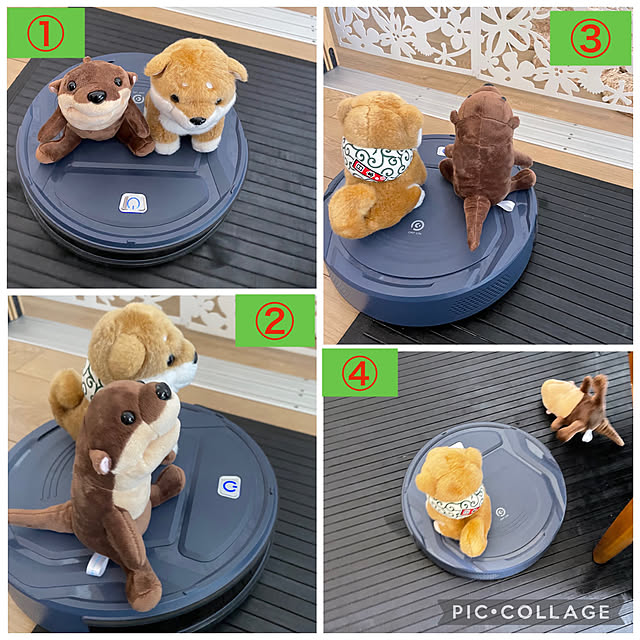 aureaさんの実例写真