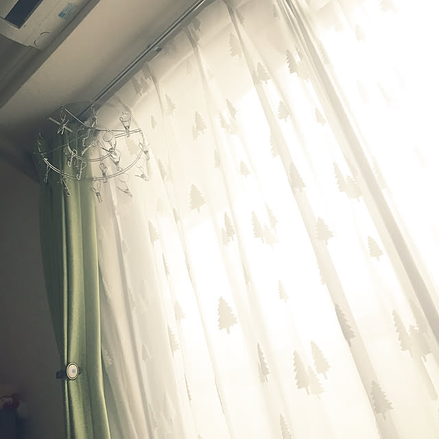 Mayuさんの実例写真