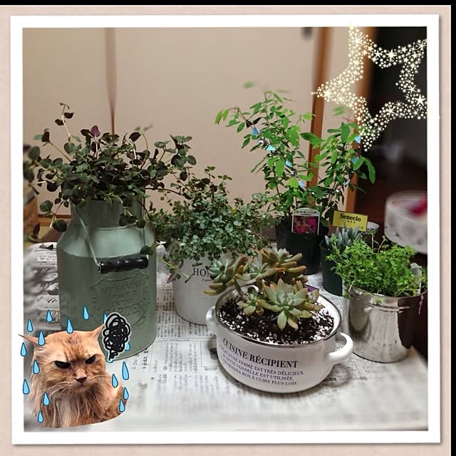 hi_iroさんの実例写真