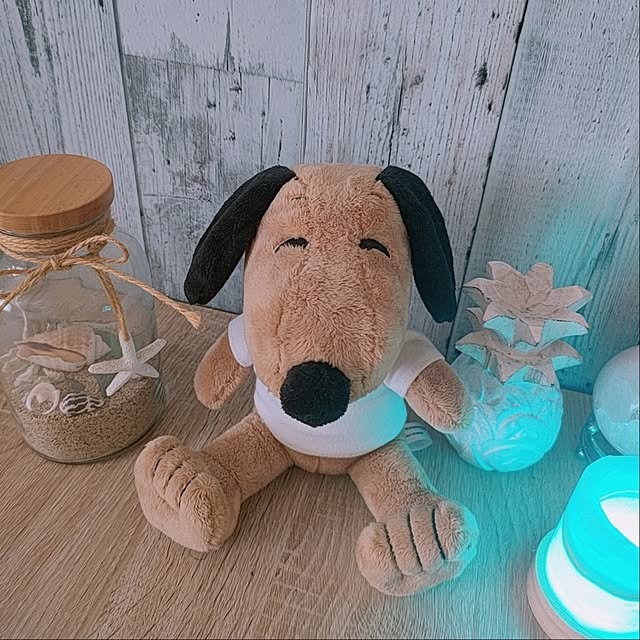cocomintさんの実例写真