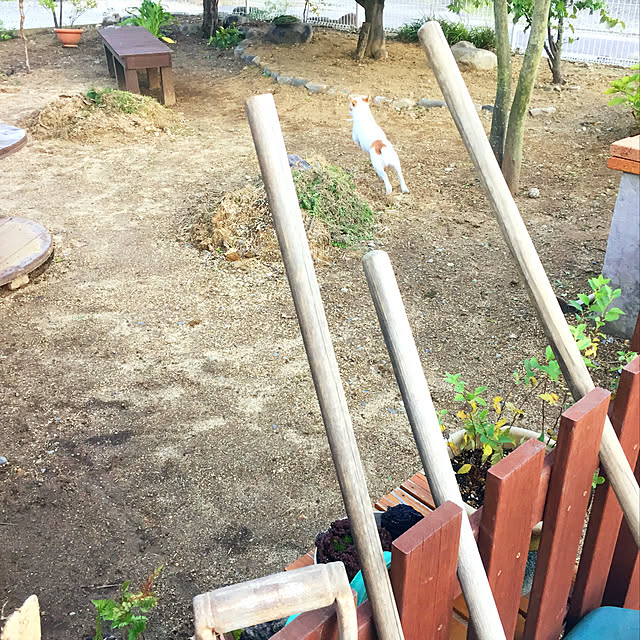 nanaさんの実例写真