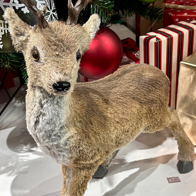 tututu0204さんの部屋