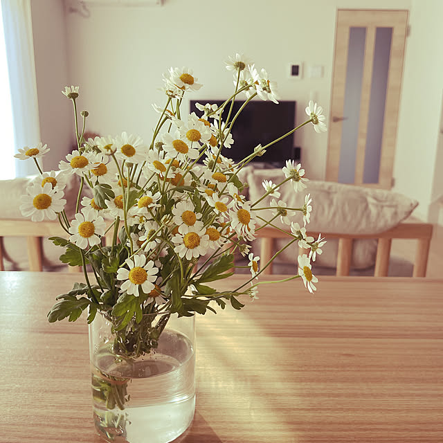 maple.little.houseさんの実例写真