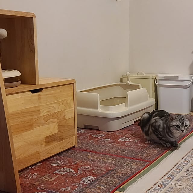 lovepeaceさんの部屋