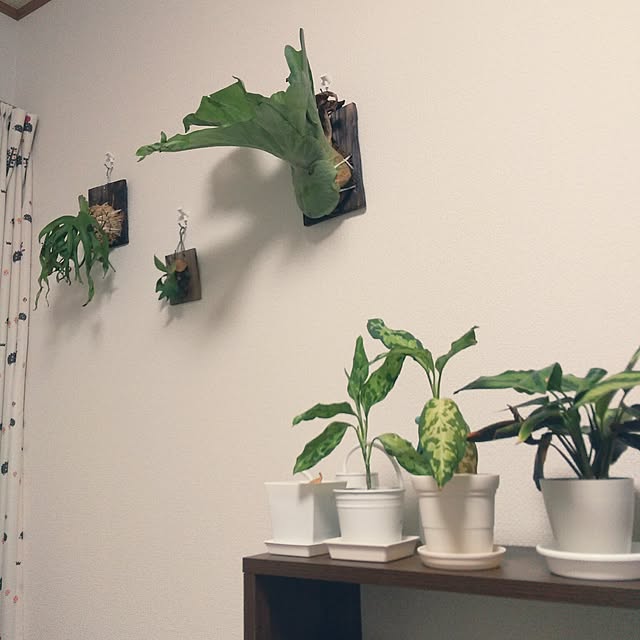 nagoさんの実例写真