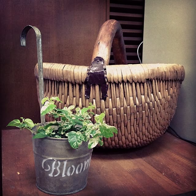 mokurollさんの実例写真