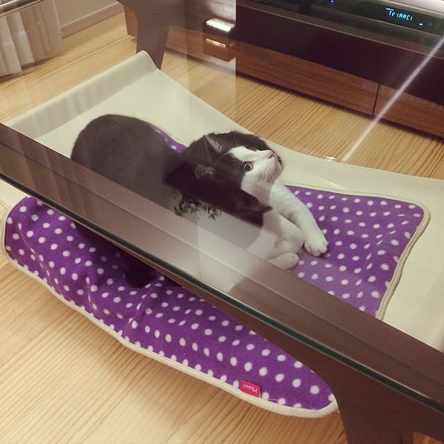 aruさんの実例写真