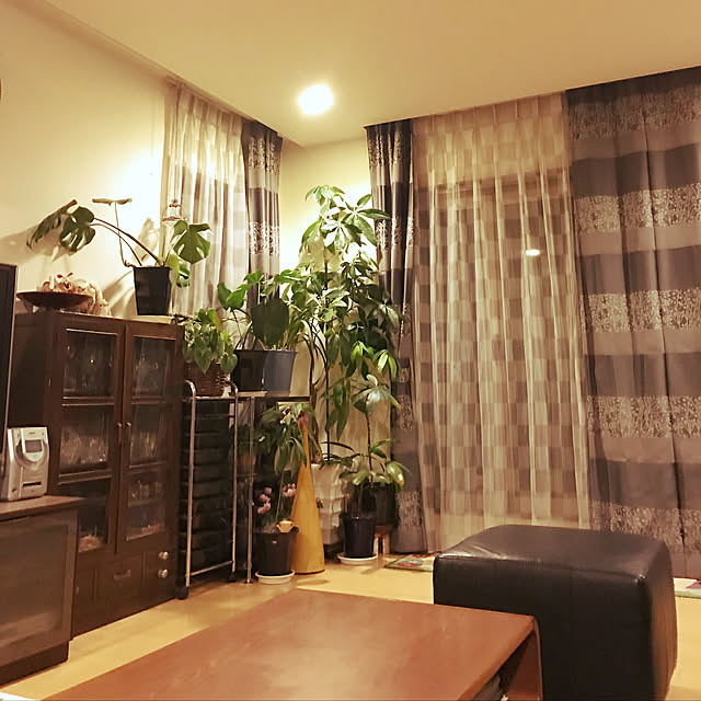 m.h.mammyさんの実例写真