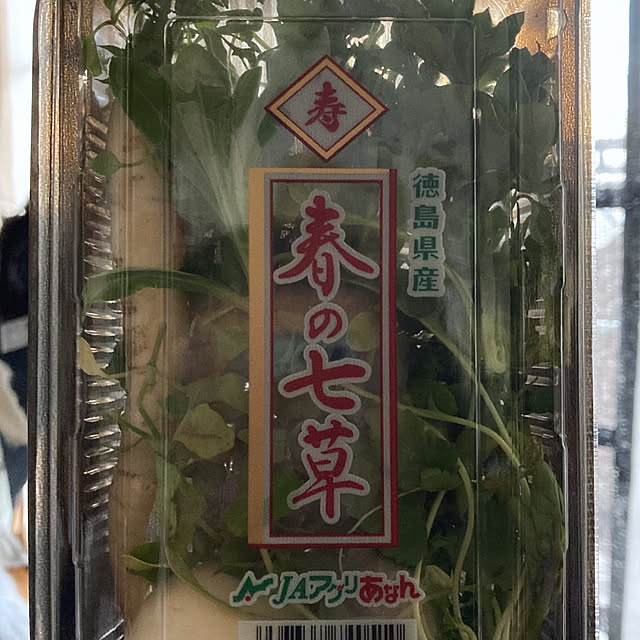 nepenthesさんの部屋