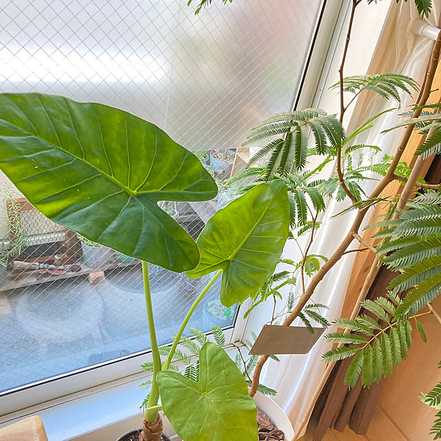 okkunさんの部屋