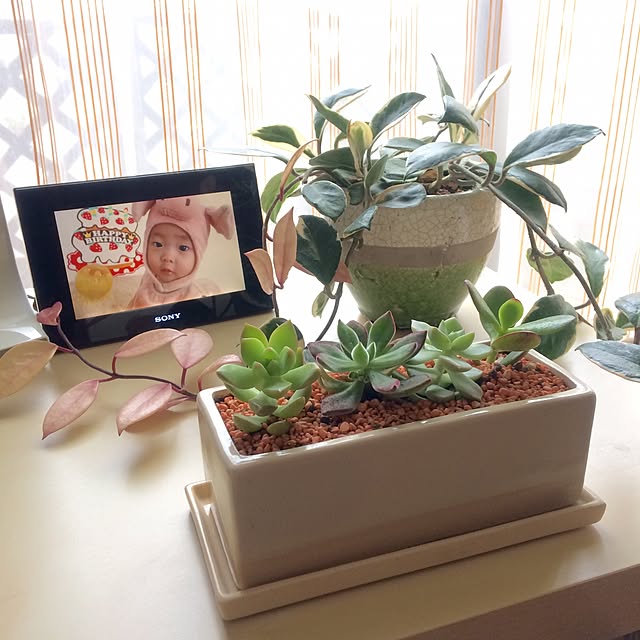 miyuさんの実例写真