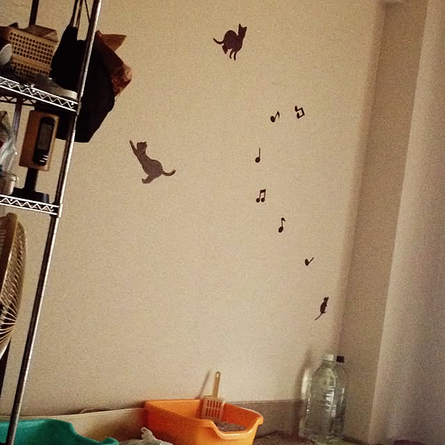 Narumiさんの実例写真