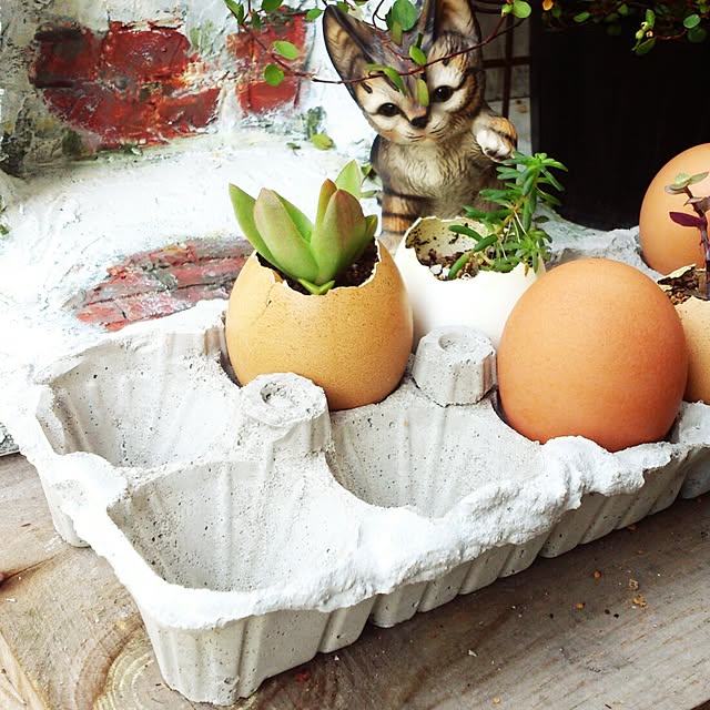 sugirokuさんの実例写真